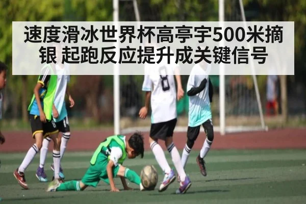 速度滑冰世界杯高亭宇500米摘银 起跑反应提升成关键信号